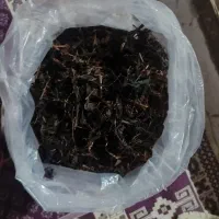 فروش چای دستی ممتاز درجه یک