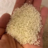 برنج نیم دانه و سالم هاشمی امساله