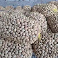 لیموخشک|خوردنی و آشامیدنی|اصفهان, قهجاورستان|دیوار