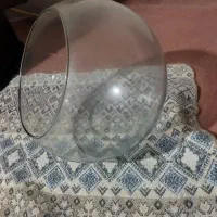 تنگ|ماهی|زنجان, |دیوار