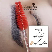 آموزش فیبروز،نچرال بروز|خدمات آموزشی|تهران, تولید دارو|دیوار
