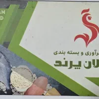 استخدام نیروی مرد