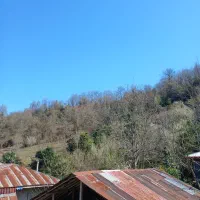 اجاره روزانه هفتگی اپارتمان وسویت
