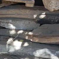 فروش چوب خشک|مصالح و تجهیزات ساختمان|پاوه, |دیوار