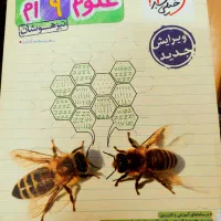 کتاب علوم نهم خیلیسبز