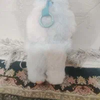 لبوبو سکرت|اسباببازی|شوشتر, |دیوار