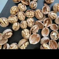 گردو خارجی 63 درصد مغز عمده|خوردنی و آشامیدنی|کوهدشت, |دیوار