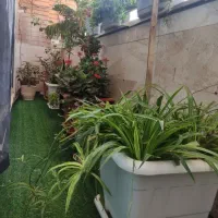 فروش چمن مصنوعی جنس درجه یک