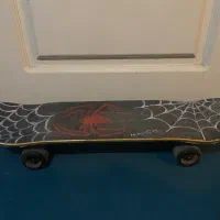 اسکیتبرد حرفه ای