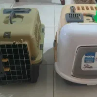 لوازم گربه
