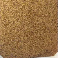 بذر یونجه محلی و وارداتی|خدمات باغبانی و درختکاری|شوشتر, |دیوار