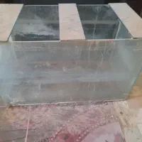 آکواریم سالم|ماهی|میبد, |دیوار