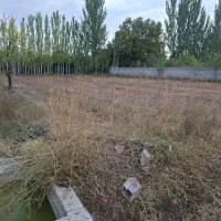 زمین باغ در فیرورق ۱۲۰۰ متری|فروش زمین و ملک کلنگی|فیرورق, |دیوار