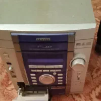 ضبط
