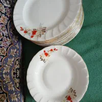 ظروف چینی|ظروف سرو و پذیرایی|شیراز, تندگویان|دیوار