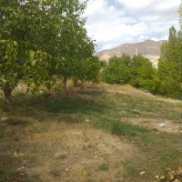 ۱۰۰۰ متر باغ دارای سند برِ جاده اصلی تنگه واشی|فروش زمین و ملک کلنگی|فیروزکوه, |دیوار