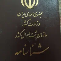 گمشده شنانامه