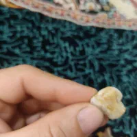 سنگ زرد|کلکسیون اشیاء عتیقه|قم, ولیعصر|دیوار