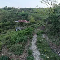 500متر زمین باغی و کلبه جنگلی