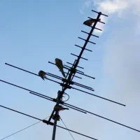 نصاب تنظیم دستگاه .براکت .انتن