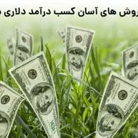در آمد دلاری با گوشی برنامه نصب کن دلار بگیر