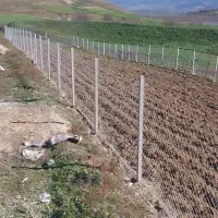 زمین ۱۰۰۰متری ۸۰ متر بر فریم