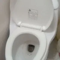 دستشویی فرنگی|لوازم سرویس بهداشتی|پاکدشت, پاکدشت (مامازند)|دیوار