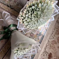 پول آرایی دسته گل جاودان با ماندگاری ده ساله|گل مصنوعی|مشهد, مصلی (کارمندان اول)|دیوار