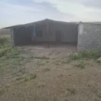 سوله-مرغداری