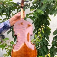 ویولن دست ساز|ویولن|یزد, |دیوار