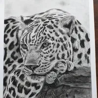 سفارش نقاشی|تابلو، نقاشی، عکس|ساوه, |دیوار