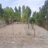 زمین باغچه ای