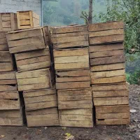 جعبه چوبی درجه یک|مصالح و تجهیزات ساختمان|کلاچای, |دیوار