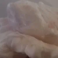 چربی‌(پی)بز‌