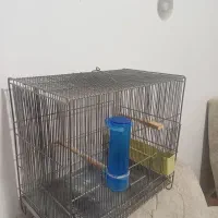 پرنده قفس ریز بافت سهره معاوضه با (پلاکی)