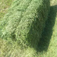 فروش یونجه بسته بندی انباری|لوازم جانبی حیوانات|مرودشت, کناره|دیوار