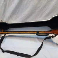 هاردکیس فایبرگلاس سه تار