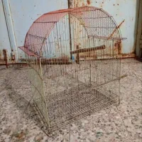 قفس پرنده