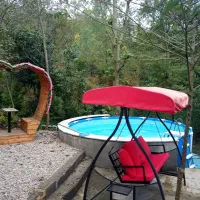 کلبه جنگلی سوییسی استخر دار شبانه ویوجنگل رودخانه