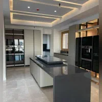 ۲۵۰متر فرمانیه شرقی /ویو /تراس|اجارهٔ آپارتمان|تهران, فرمانیه|دیوار