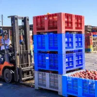 صادرات انواع کالا از گمرک های شمال کشور|خدمات حمل و نقل|تهران, سعادت‌آباد|دیوار