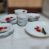 سرویس آرکوپال طرح گل لاله