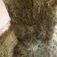 با سلام فروش یونجه چین سوم