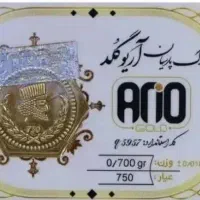 سکه پارسیان