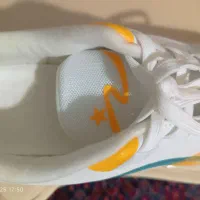 کفش اسپورت|کیف، کفش، کمربند|مشهد, تربیت (صدف)|دیوار