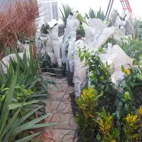 دهکده آقای گل