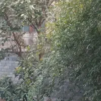 ۱۰۰ متر غربی های تهرانپارس  قابل تبدیل حیاط دار|اجارهٔ آپارتمان|تهران, تهرانپارس غربی|دیوار