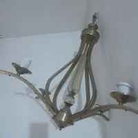 لوستر درحد نو