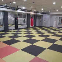 آکادمی تخصصی و رزمی تیتان