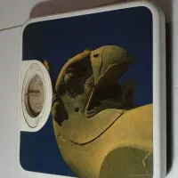 ترازوی وزن کشی عقربه ای خانگی